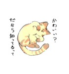 あめちゃんワールド（個別スタンプ：8）