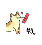 あめちゃんワールド（個別スタンプ：13）