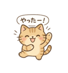 もちぷにトラねこ♪日常スタンプ（個別スタンプ：1）