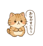 もちぷにトラねこ♪日常スタンプ（個別スタンプ：4）