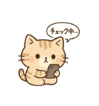 もちぷにトラねこ♪日常スタンプ（個別スタンプ：5）