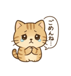 もちぷにトラねこ♪日常スタンプ（個別スタンプ：13）