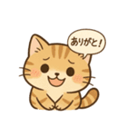 もちぷにトラねこ♪日常スタンプ（個別スタンプ：14）
