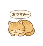 もちぷにトラねこ♪日常スタンプ（個別スタンプ：15）