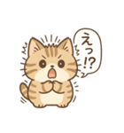 もちぷにトラねこ♪日常スタンプ（個別スタンプ：16）