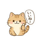 もちぷにトラねこ♪日常スタンプ（個別スタンプ：18）
