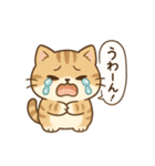 もちぷにトラねこ♪日常スタンプ（個別スタンプ：19）