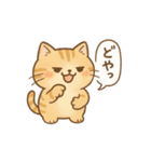 もちぷにトラねこ♪日常スタンプ（個別スタンプ：21）