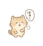 もちぷにトラねこ♪日常スタンプ（個別スタンプ：22）
