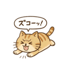 もちぷにトラねこ♪日常スタンプ（個別スタンプ：24）