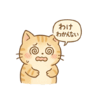 もちぷにトラねこ♪日常スタンプ（個別スタンプ：25）