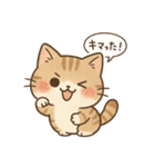 もちぷにトラねこ♪日常スタンプ（個別スタンプ：29）