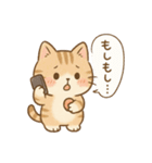 もちぷにトラねこ♪日常スタンプ（個別スタンプ：30）