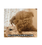 僕は犬。（個別スタンプ：1）