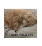 僕は犬。（個別スタンプ：2）