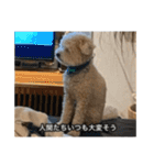 僕は犬。（個別スタンプ：4）