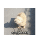 僕は犬。（個別スタンプ：14）