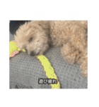 僕は犬。（個別スタンプ：18）