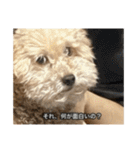 僕は犬。（個別スタンプ：19）