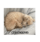 僕は犬。（個別スタンプ：25）