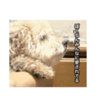 僕は犬。（個別スタンプ：28）