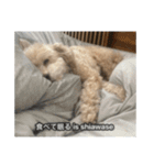 僕は犬。（個別スタンプ：31）