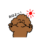 わんこのすゝめ/ぴの（個別スタンプ：1）