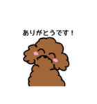 わんこのすゝめ/ぴの（個別スタンプ：7）