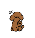 わんこのすゝめ/ぴの（個別スタンプ：13）