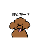 わんこのすゝめ/ぴの（個別スタンプ：18）