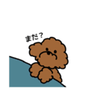 わんこのすゝめ/ぴの（個別スタンプ：19）
