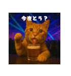 パリピ猫【今宵はパーリナイ】（個別スタンプ：25）