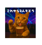 パリピ猫【今宵はパーリナイ】（個別スタンプ：33）