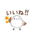ずっと使える✴︎まるふわシマエナガ（個別スタンプ：24）