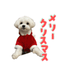 【嫁の笑顔が見たくって】ルル坊スタンプ③（個別スタンプ：40）
