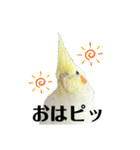 毎日sunny♡2（個別スタンプ：1）