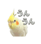 毎日sunny♡2（個別スタンプ：4）