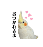 毎日sunny♡2（個別スタンプ：5）