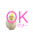 毎日sunny♡2（個別スタンプ：7）