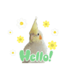 毎日sunny♡2（個別スタンプ：8）