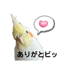 毎日sunny♡2（個別スタンプ：9）
