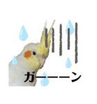 毎日sunny♡2（個別スタンプ：11）