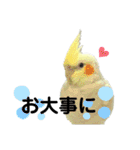 毎日sunny♡2（個別スタンプ：12）