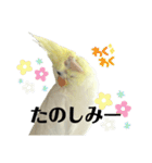毎日sunny♡2（個別スタンプ：13）