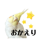 毎日sunny♡2（個別スタンプ：15）