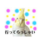 毎日sunny♡2（個別スタンプ：16）