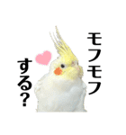 毎日sunny♡2（個別スタンプ：18）