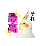 毎日sunny♡2（個別スタンプ：19）