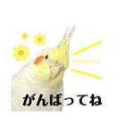 毎日sunny♡2（個別スタンプ：20）