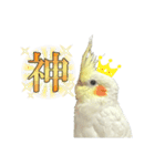 毎日sunny♡2（個別スタンプ：23）